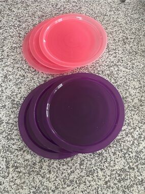 Target Brand 3 each Pink & Purple Plastic Plates Perfect support 4 paper plates